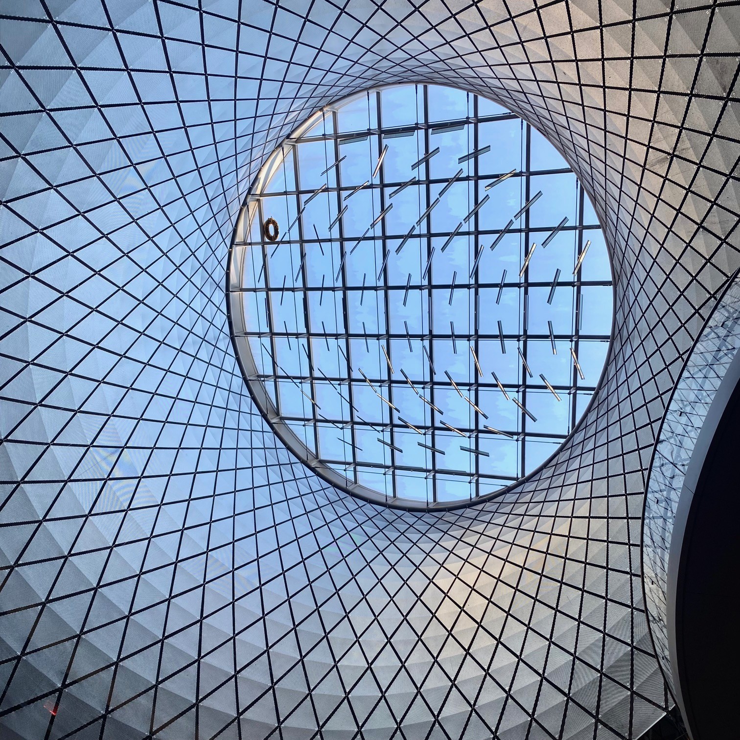 Oculus